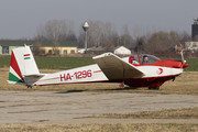 Scheibe SF-25C Falke - HA-1296 operated by Private operator