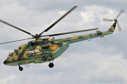 Mil Mi-17V-5 - 19 operated by Äwe qorğanısı küşteri (Kazakh Air Defense Force)