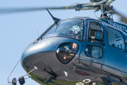 Eurocopter AS350 B3 Ecureuil - CS-HIB operated by Everjets - Aviação Executiva, S.A.