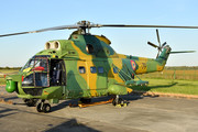 IAR 330L Puma SOCAT - 79 operated by Forţele Aeriene Române (Romanian Air Force)