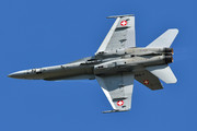 McDonnell Douglas F/A-18C Hornet - J-5005 operated by Schweizer Luftwaffe (Swiss Air Force)