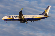 Boeing 737-800 - EI-DLE operated by Ryanair