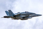 McDonnell Douglas F/A-18+ Hornet - C.15-79 operated by Ejército del Aire (Spanish Air Force)