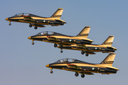 Aermacchi MB-339NAT - 438 operated by United Arab Emirates Air Force