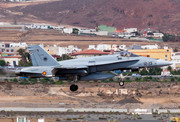 McDonnell Douglas EF-18M Hornet - C.15-55 operated by Ejército del Aire (Spanish Air Force)