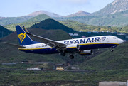 Boeing 737-800 - EI-DWP operated by Ryanair