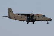Dornier 228-212 - MM62156 operated by Italy - Army