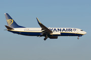 Boeing 737-800 - EI-DCZ operated by Ryanair