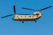 Boeing CH-47F Chinook - 13-08133 operated by US Army