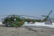 Mil Mi-17M - 0821 operated by Vzdušné sily OS SR (Slovak Air Force)