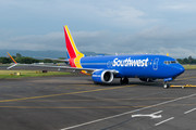 Boeing 737-8 MAX - N8762Q operated by Southwest Airlines