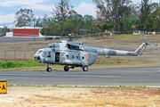Mil Mi-17 - 1703 operated by Fuerza Aérea Mexicana (Mexican Air Force)