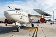 Douglas EA-3B Skywarrior - N875RS operated by Private operator
