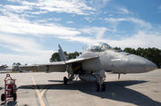 Boeing F/A-18F Super Hornet - 166611 operated by US Navy (USN)