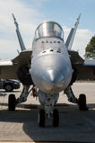 McDonnell Douglas F/A-18C Hornet - 165177 operated by US Navy (USN)