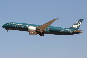 JA812X - Boeing 737-800 operated by Solaseed Air taken by wengenpc