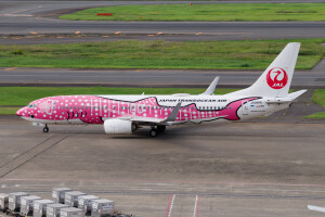 JA06RK - Boeing 737-800 operated by Japan TransOcean Air (JTA