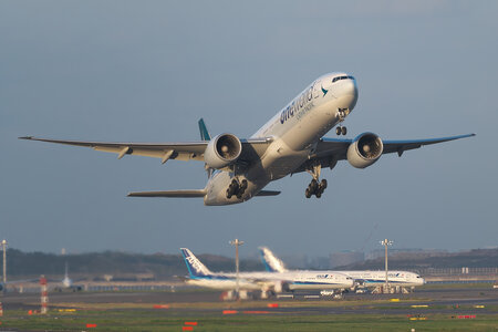 Solaseed B737-800 JA812X Air Exeggutor 航空機・ヘリコプター