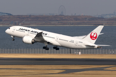 JA849J - Boeing 787-8 Dreamliner operated by Japan Airlines (JAL