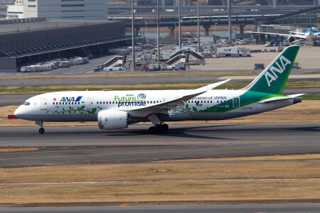 JA113A - Airbus A321-211 operated by All Nippon Airways (ANA